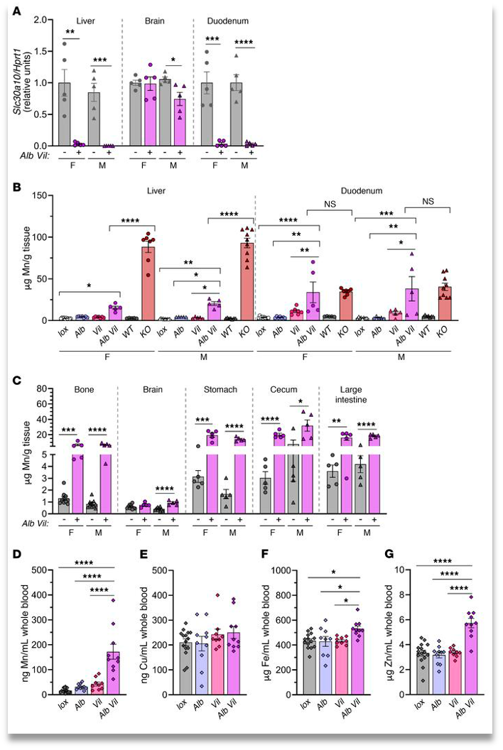 Manganese transporter Slc30a10 controls physiological manganese